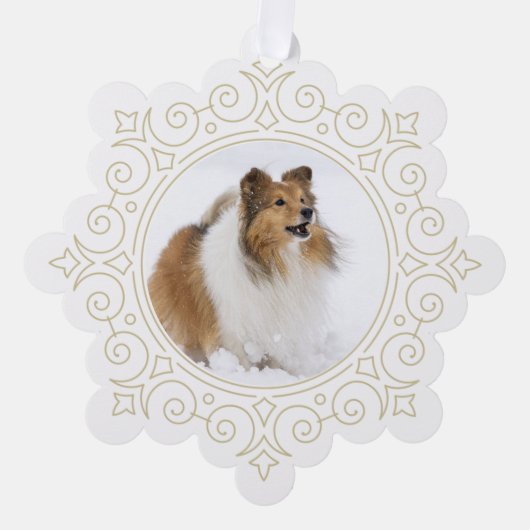 Weihnachtsweihnachtskarte Ornament Karte (Vorderseite)