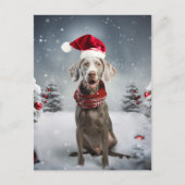Weihnachtsweimaraner Hund Postkarte (Vorderseite)