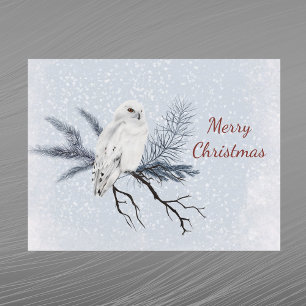 WeihnachtsweißerUhuKieferzweigAquarell Feiertagspostkarte