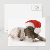 WeihnachtsWelpe - Deutscher Kurzzeiger Feiertagspostkarte (Vorne/Hinten)