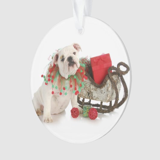 Weihnachtswelpe - englisches ornament (Vorderseite)