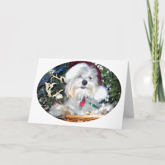 Weihnachtswelpe Feiertagskarte (Vorderseite)