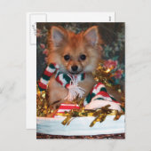 Weihnachtswelpe Feiertagspostkarte (Vorne/Hinten)