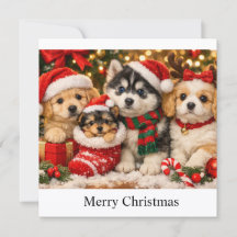 Weihnachtswelpen
