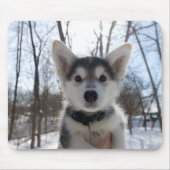 Weihnachtswelpen Mousepad (Vorne)