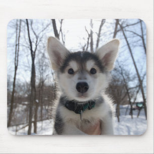 Weihnachtswelpen Mousepad