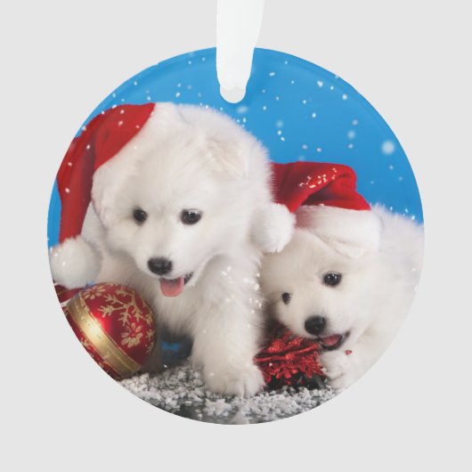 Weihnachtswelpen-weißer SpitzSpitz Ornament (Vorderseite)