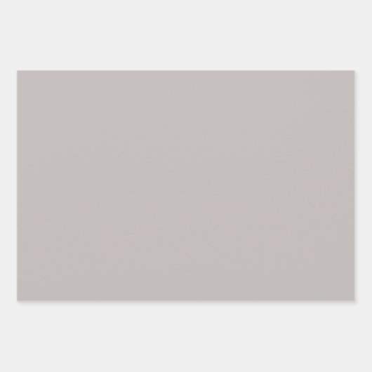 Weihnachtswild mit Vögeln Geschenkpapier Set (Vorderseite 2)