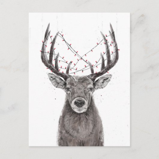 Weihnachtswild Postkarte (Vorderseite)