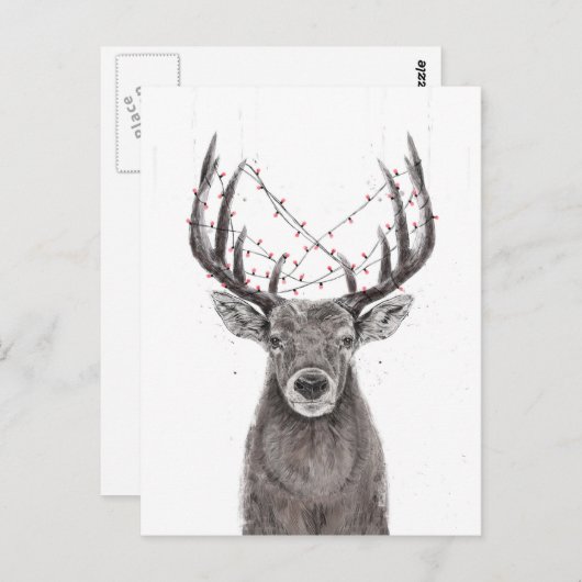 Weihnachtswild Postkarte (Vorne/Hinten)