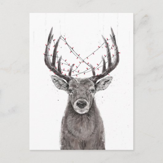 Weihnachtswild Postkarte (Vorderseite)
