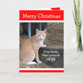 Weihnachtswünsche Orange Tabby Card Feiertagskarte