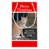 Weihnachtswünsche Orange Tabby Geschenktasche Kleine Geschenktüte (Rückseite)