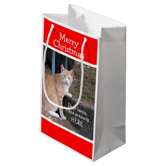 Weihnachtswünsche Orange Tabby Geschenktasche Kleine Geschenktüte (Rückseite Schrägansicht)