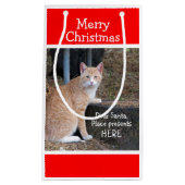 Weihnachtswünsche Orange Tabby Geschenktasche Kleine Geschenktüte (Vorderseite)