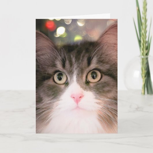 Weihnachtswünsche (Weihnachtskarte) Feiertagskarte (Vorderseite)