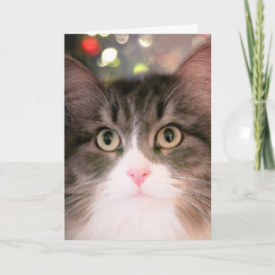 Weihnachtswünsche (Weihnachtskarte) Feiertagskarte