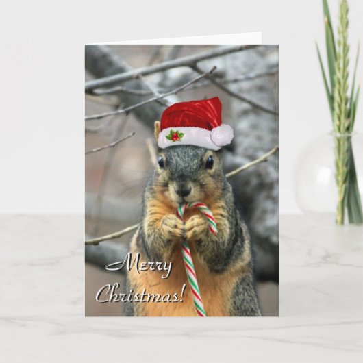 Weihnachtswürfelkarte Feiertagskarte (Vorderseite)