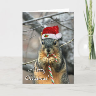Weihnachtswürfelkarte Feiertagskarte