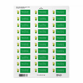 Weihnachtswüste Südwest-Kaktus Kakti-Adresse (Vorne)