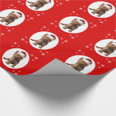 Weihnachtsyorkshire-Terrier-Hund in der Geschenkpapier (Ecke)