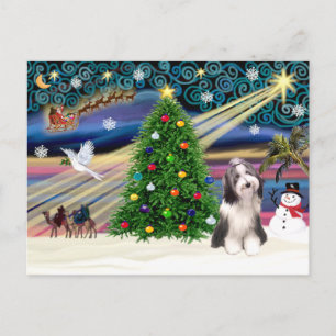 Weihnachtszauber Bearded Collie 4 Feiertagspostkarte