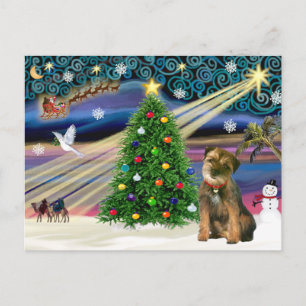 Weihnachtszauber Border Terrier Feiertagspostkarte