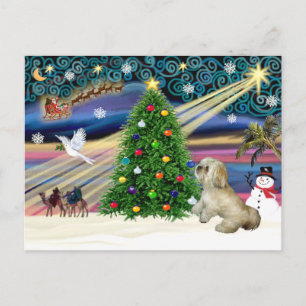 Weihnachtszauber Lhasa Apso 7 Feiertagspostkarte