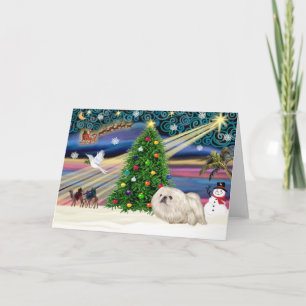 Weihnachtszauber Pekingese (weiß) Feiertagskarte