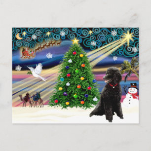 Weihnachtszauber-Pudel (schwarzer Standard) Feiertagspostkarte