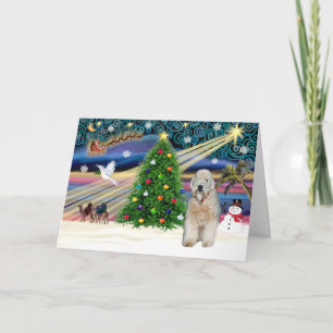 Weihnachtszauber - Wheaten Terrier - Individuell g Feiertagskarte
