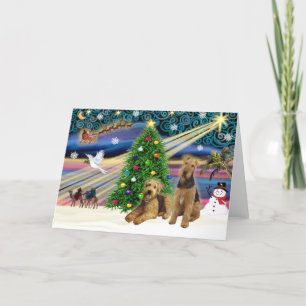 Weihnachtszauber - Zwei Airedales Feiertagskarte