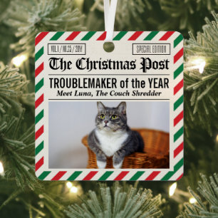 Weihnachtszeitung 'Katze des Jahres Störenfried' Ornament Aus Metall