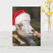 Weihnachtsziege Karte (Gelbe Blume)