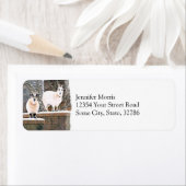 Weihnachtsziegen (Insitu)