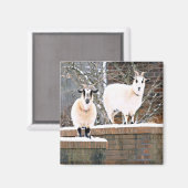 Weihnachtsziegen Magnet (Vorderseite/Rückseite)