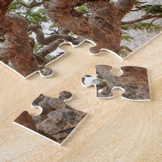 Weihrauch-Bäume, Homhil Hochebene, Socotra-Insel Puzzle (Seite)