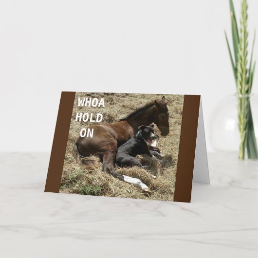 WEIL ICH ALSO "HAPPY BIRTHDAY" KARTE SAGE (Vorderseite)