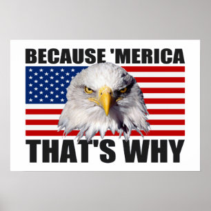 WEIL "MERICA, DAS IST WARUM US Flag Poster (groß)