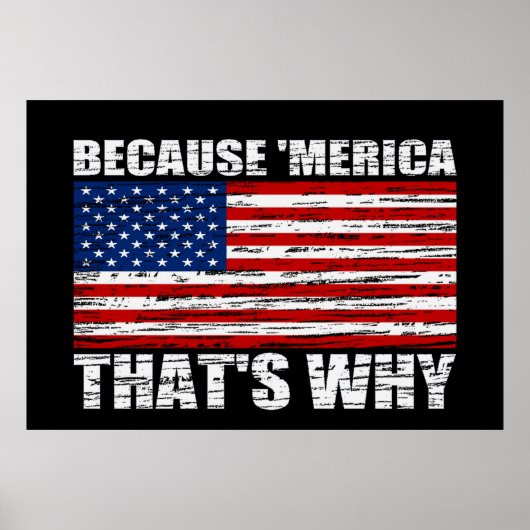 WEIL "MERICA, DAS IST WARUM US Flag Poster (groß) (Vorne)