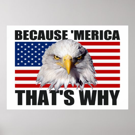 WEIL "MERICA, DAS IST WARUM US Flag Poster (groß) (Vorne)