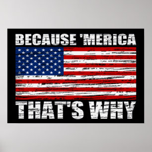 WEIL "MERICA, DAS IST WARUM US Flag Poster (klein)