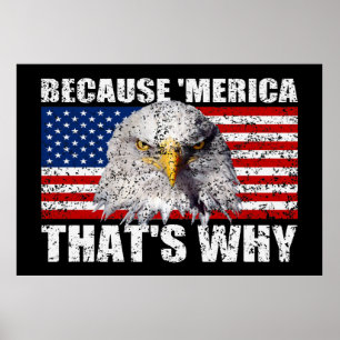 WEIL 'MERICA DESHALB US Flaggen-Plakat (groß) Poster
