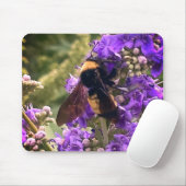 WEIL SIE EIN SPEZIELLES MAUSPAD SIND (Mit Mouse)