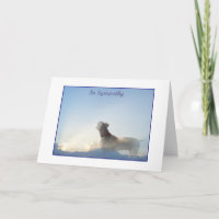Weim Beileids-Karte
