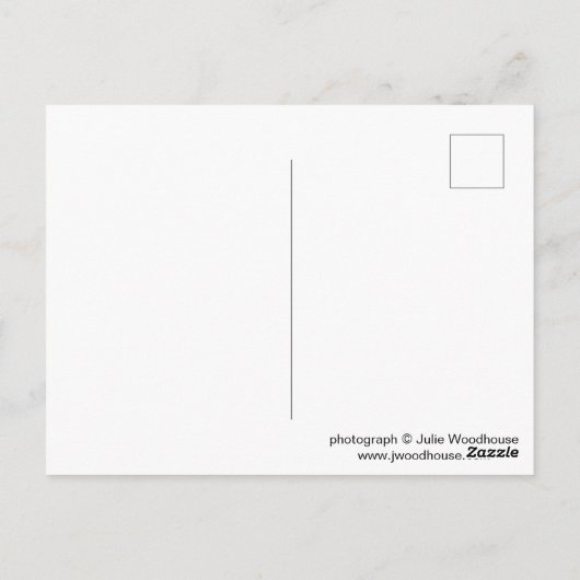 Weimar Marktplatz photo Postkarte (Rückseite)