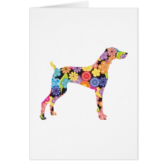 Weimaraner (Vorne)