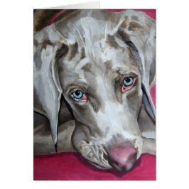 Weimaraner