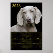 Weimaraner 2026 Calendar Poster (Vorne)