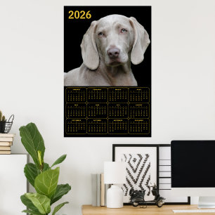 Weimaraner 2026 Kalender Poster
